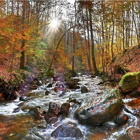 Herzallerliebst Appartement