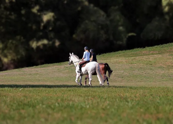 Herzallerliebst * باد لوتربرغ