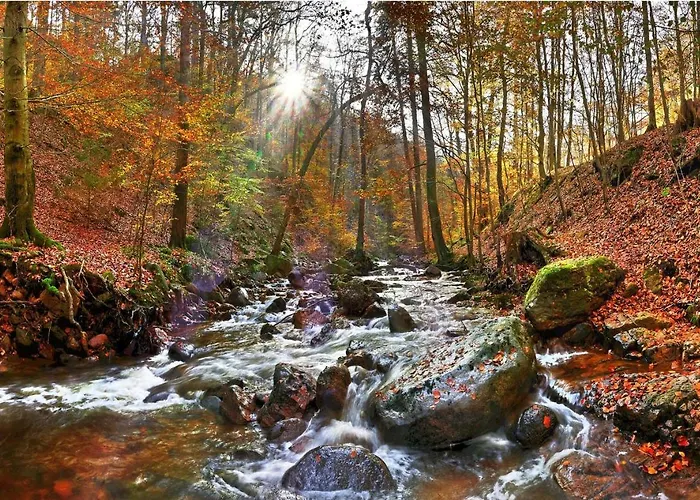 Herzallerliebst Lägenhet